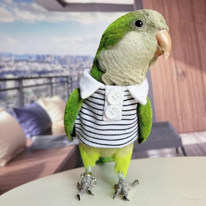 Bird Diaper Flight Suit for Parrots, Lovebirds, Parakeets & Cockatiels - Summer Clothes Cosplay Photo Prop - Small Animal Apparel (Without Diaper, Lovebird)