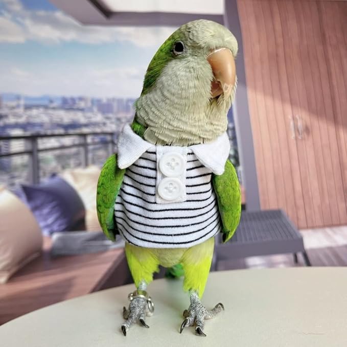 Bird Diaper Flight Suit for Parrots, Lovebirds, Parakeets & Cockatiels - Summer Clothes Cosplay Photo Prop - Small Animal Apparel (with Diaper, Sun Conure)