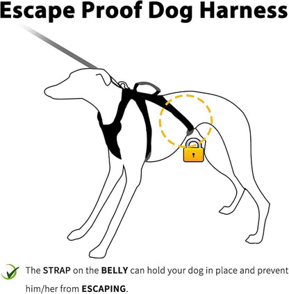 Escape Proof Dog Harness, No Pull Reflective Harness with Lift Handle, Adjustable Pet Vest with Front and Back Leash Clips for Small Medium Large Dogs Walking Hiking Training (Vista Blue,L)