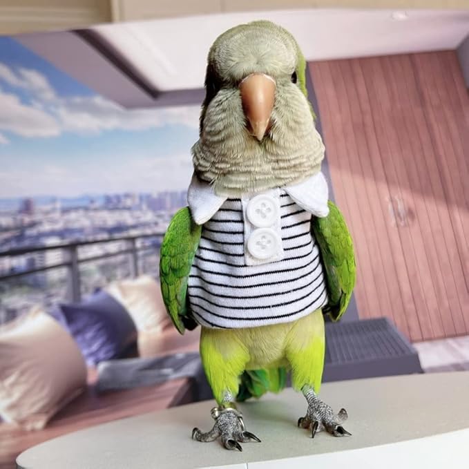 Bird Diaper Flight Suit for Parrots, Lovebirds, Parakeets & Cockatiels - Summer Clothes Cosplay Photo Prop - Small Animal Apparel (with Diaper, Eclectus)