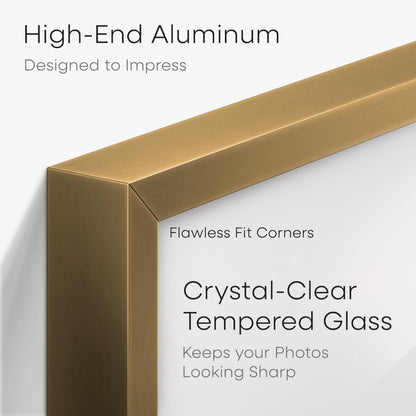 Homeforia 11x14 Bronze Picture Frame, High End Metal 11x14 Brass Frame with Mat 8x10, 11 x 14 Poster Frames Matted to 8 x 10 inch Photo, 11 by 14 Bronze Thin Frames, Tempered Glass, Wall Kit, Set of 1