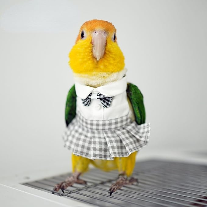 Bird Costume Bird Diaper Flight Suit Cute JK Dress Dress Skirt Clothes Cosplay Photo Prop for Parrots Macaw Cockatoo (with Diaper,2M)