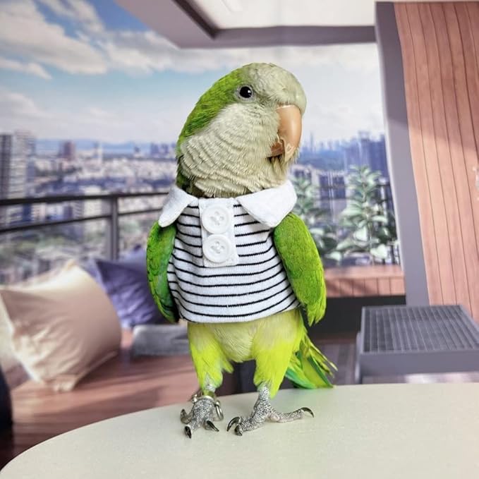 Bird Diaper Flight Suit for Parrots, Lovebirds, Parakeets & Cockatiels - Summer Clothes Cosplay Photo Prop - Small Animal Apparel (with Diaper, Eclectus)