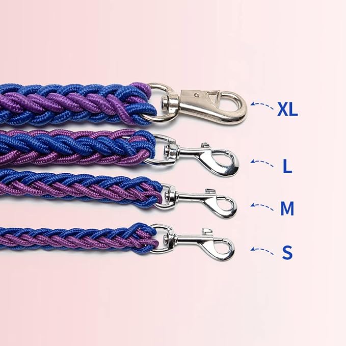 Love Dream Dog Collar and Leash Set, Heavy Duty Nylon Braided Rope Strong 4 FT Dog Leash and Martingale Training Collar for Small Medium Large Dogs Training and Walking (Purple & Pink)