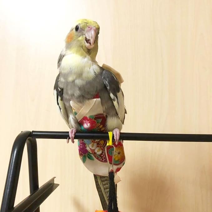 Bird Flight Suits Diapers, Parrot Flight Suits Diapers for Quaker Parakeets Cockatiels Flight Suits, Parrot Clothes (Almond A,Macaw)