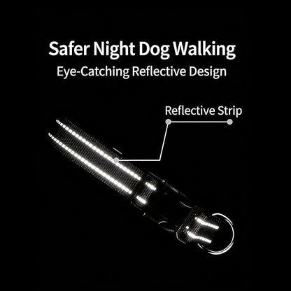 Dog Collar Leash Set, Gradient Color, with Safety Reflective Strips, 5 ft Matching Leash, Neoprene Padded Handle, Adjustable 4 Sizes for Small Medium Large Dogs.(M, Lilac Pink)