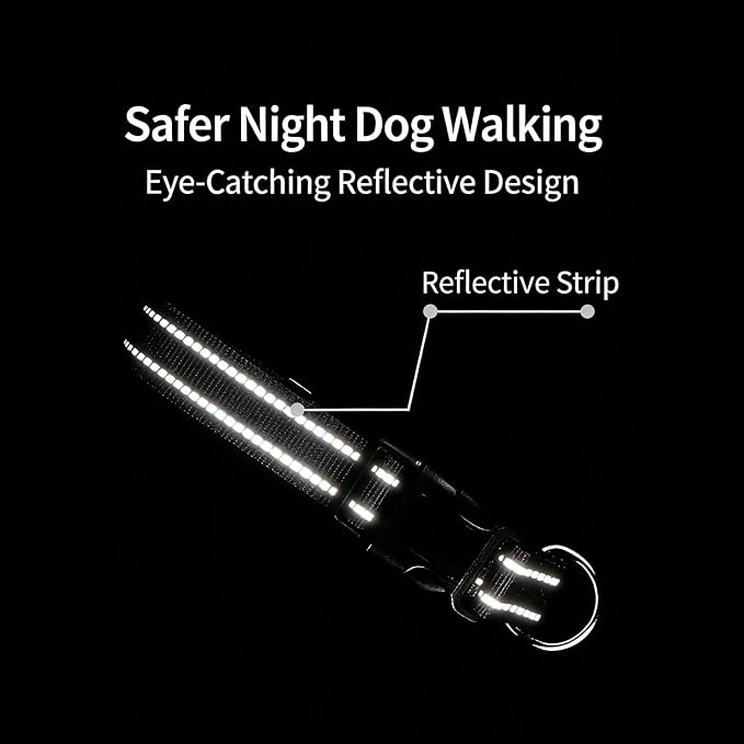 Dog Collar Leash Set, Gradient Color, with Safety Reflective Strips, 5 ft Matching Leash, Neoprene Padded Handle, Adjustable 4 Sizes for Small Medium Large Dogs.(XS, Black Grey)