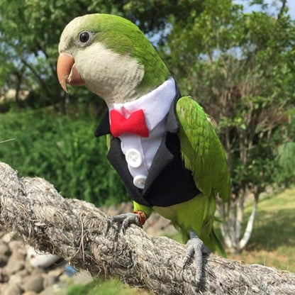 Bird Clothes Birds Flight Suit,Tuxedo Business Suit for Parrots African Greys Parakeet Cockatiel Sun Conure Christmas Party Birthday Cosplay Photo Prop Small Animals Apparel (S,Black Suit)