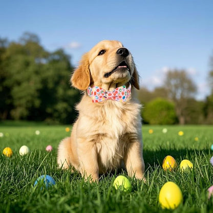 Maca Bates Easter Day Dog Collar with Fancy Bow Tie for Medium Girl Boy Dogs, Pink Easter Egg,Chick Pattern,Adjustable Durable Soft Breakaway Collars for Male Female Puppy