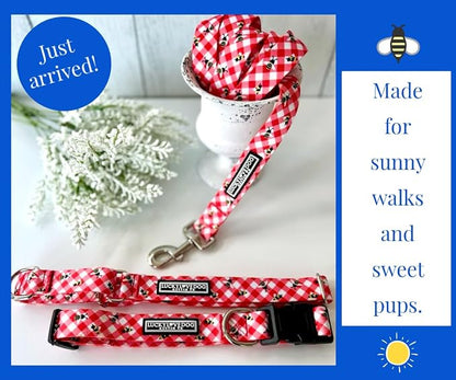 Lucky Love Dog - Easy Click Buckle Dog Collar with Leash Set Combo, Durable & Comfortable for Male & Female Dogs, Pet Collar for Small Dogs, Secure Fit - Bailey Combo, XS