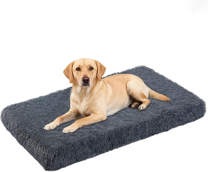 Orthopedic Dog Bed for Medium Dogs, Dual-Layer Memory & Egg-Crate Foam, Washable Warm Winter Plush Cover, Waterproof Liner, Non-Slip Bottom, Crate/Kennel Pad, 35 x 22 Inch, Dark Gray