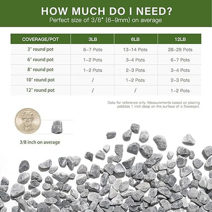NUPICK 3 lbs Pebbles for Indoor Plants, 3/8 Inch Pea Gravel for Fish Tank, Decorative Rocks for Succulent, Natural River Stones for Vases, Cactus, Landscaping, Bird Bath, Aquarium, Grey