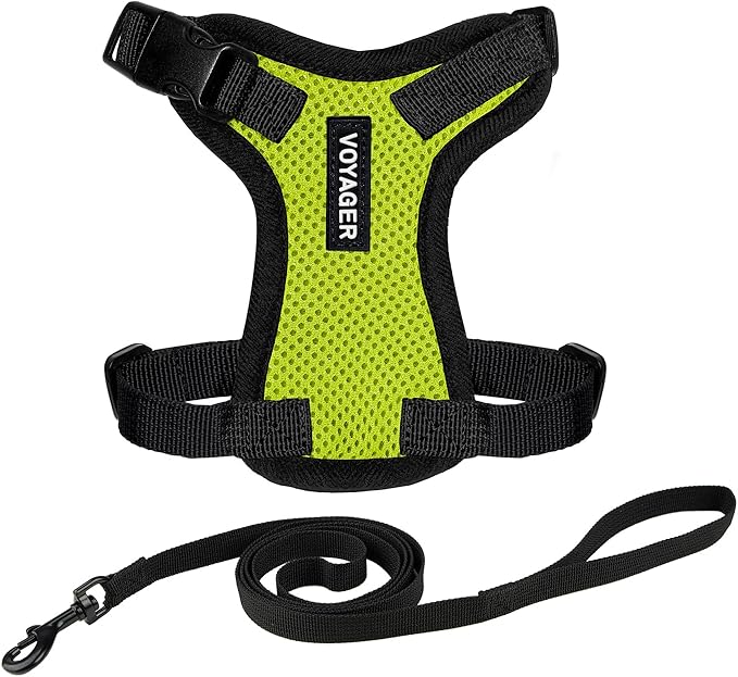 Voyager Step-in Lock Adjustable Cat Harness w. Cat Leash Combo Set with Neoprene Handle 5ft - Supports Small, Medium and Large Breed Cats by Best Pet Supplies - Lime Green/Black Trim, XXS