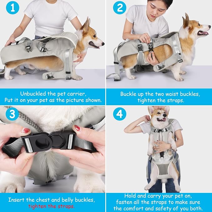PetBonus Dog Front Carrier Backpacks, Legs Out Easy-fit Puppy Chest Carrier | Hands Free, Adjustable, Safety Strap, Walking Hiking Cycling Motorcycle bag, For Small Medium Dogs (Grey, M)