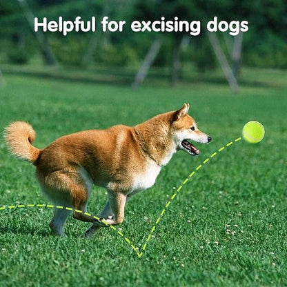 6 Pack Mini Tennis Balls for Pet Playing Fecth, 2 inch Dogs Training Tennis Balls for Small Size Dogs, Interactive Dog Playing Balls Fits 2 inch Dog Ball Launchers…