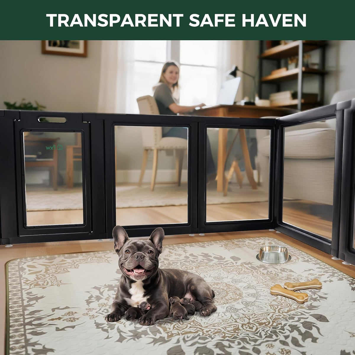 FXW AuraSpace Acrylic Indoor Unleashed Dog Playpen for Small and Medium Dogs, 30 Inch, 16 Panels, Black