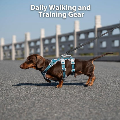 Escape Proof Dog Harness, Escape Artist Harness, Fully Reflective Harness with Padded Handle, Breathable,Durable, Adjustable Vest for Medium Dogs Walking, Training, and Running Gear (Teal,XS)