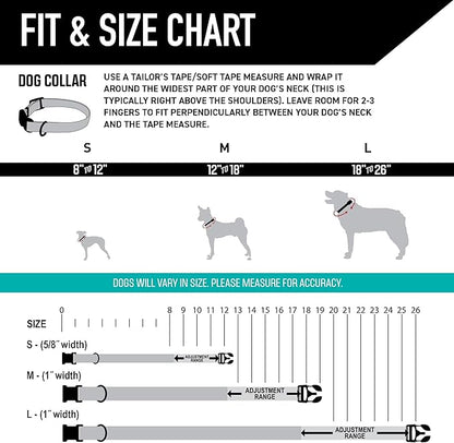 Wolfgang Heavy Duty, Adjustable Dog Collar with Quick Release Nylon Buckle for Walking & Training, LazyDaisy Print, Medium
