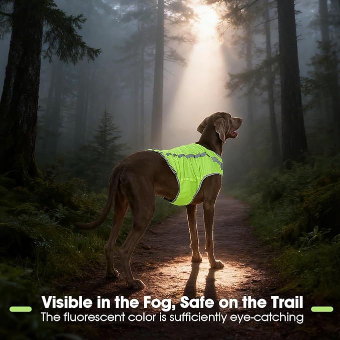FUAMEY Dog Reflective Vest for Large Dogs,Dog Hunting Vest High-Visibility Dogs Safety Vest for Night Walking Water-Resistant Service Pet Gear Adjustable Outdoor Activities Neon Green XL