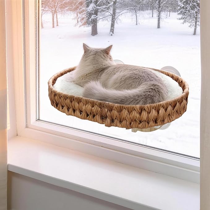 2-in-1 Cat Window Perch and Wall Shelves with Solid Wood, Wicker Window Perch for Cats Inside with 4 Upgraded Suction Cups, 16.1" Washable Cushion Cat Perches Bed for Sleeping and Watching Birds