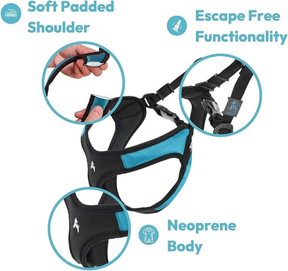 Gooby Escape Free Easy Fit Harness - Blue, Medium - No Pull Step-in Patented Small Dog Harness with Quick Release Buckle - Perfect On The Go No Pull Harness for Small Dogs or Medium Dog Harness