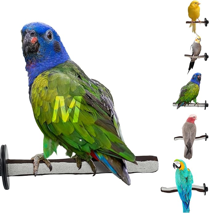 Sweet Feet and Beak Superoost Manzanita Pumice Pedicure Perch- Easy to Install Bird Cage Accessories for Healthy Feet, Nails and Beak - Natural Bird Perches Imitates Birds' Life in The Wild - M 10"
