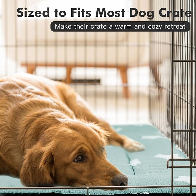 Mora Pets Dog Crate Pad Washable Cat Dog Bed for Crate Flat Pet Kennel Mat | Soft Dog Cat Bed Mat, Puppy Crate Pad for Dog Cages Cozy Sleeping Liner, Cute Pet Pillow Cushion Anti Slip Small Blue 24 x 18