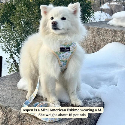 Lucy & Co. Reversible Dog Harness - Water-Repellent Neoprene, Dual-Print Design, Easy Swap Style, Adjustable Comfort Fit - Sunshine Daffodils Reversible Harness - Small
