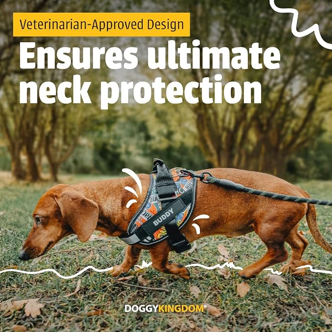 Personalized Dog Harness with Custom Name Patches, Adjustable Reflective No Choke Dog Vest with Handle for Medium Sized Dog, Orange, M