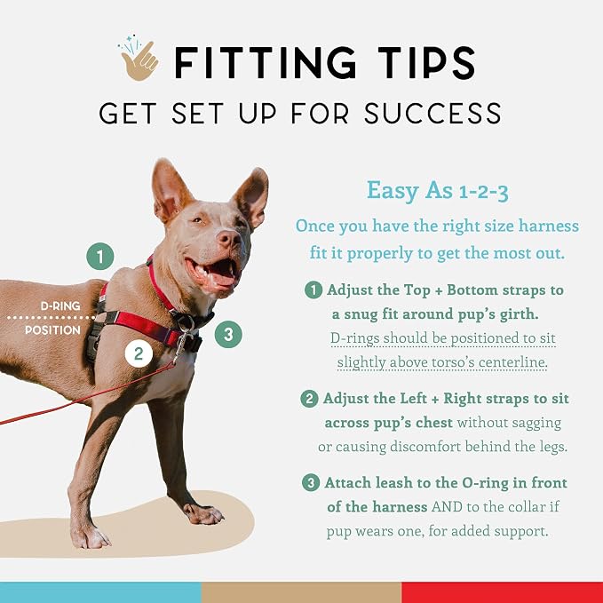 No Pull Dog Harness | Comfortable Training Harnesses | Effective No Pull Design | Ideal for Large Sized Dog | 4-Point Adjustable(XL - 30~36 inch Girth, Red)