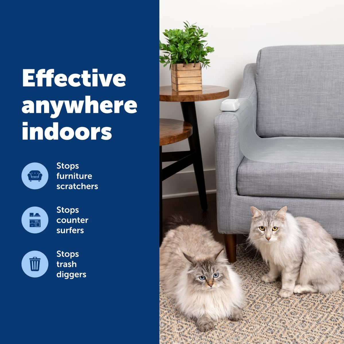 PetSafe ScatMat Indoor Pet Training Mats - Helps Prevent Furniture Climbing - Adjustable Correction Mat - Touch-Activated Design - LCD Pet Mat Controller - Battery Operated - Medium, 30" x 16"