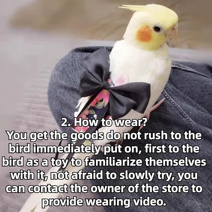 Bird Diaper Parrot Washable Diapers, Parrot Flight Suit, Reusable Nappies for Parakeet Cockatiel Mini Macaw Budgie Conure Lovebird (Beige,S)