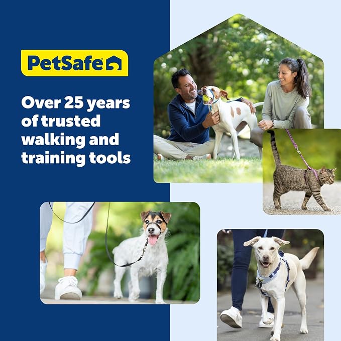 PetSafe Come with Me Kitty Harness and Bungee Cat Leash, Royal Blue, Small | Adjustable 2-Point Fit Applies Gentle Pressure to Shoulders, Not Neck, for Kittens and Small Cats with 9 in - 11 in Girth
