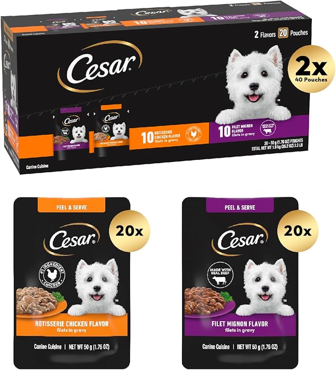 Cesar Filets in Gravy Wet Dog Food Filet Mignon Flavor and Rotisserie Chicken Flavor Variety Pack, 1.76 oz. Mini-Pouches (20 Count, Pack of 2)