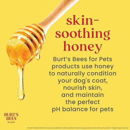 BURT'S BEES FOR PETS Itch Soothing Dog Shampoo for Itchy Skin, pH Balanced Honeysuckle with Skin-Conditioning Honey, 95%+ Natural Origin Formula, No Sulfates, Fragrances, or Colorants, 16 Fl Oz