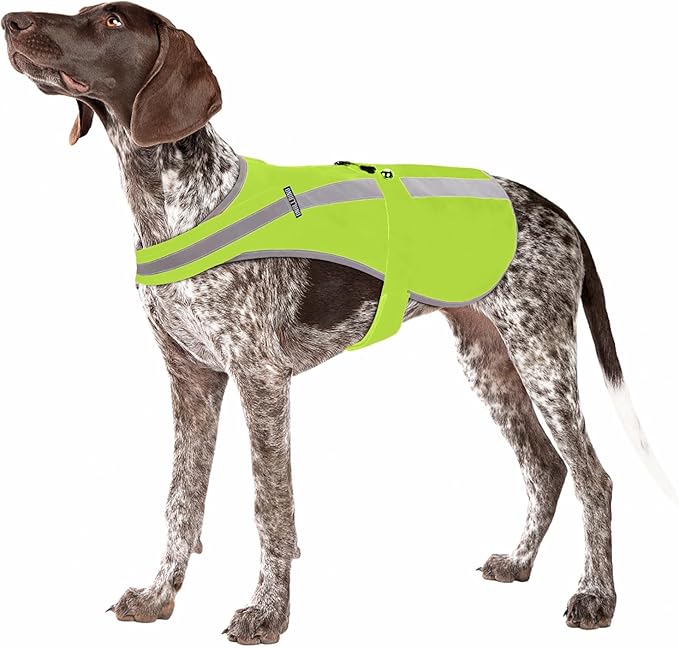 Reflective Dog Vest for Small and Medium Breeds, High Visibility Dog Safety Vest with Removable Bell Keep Safe from Hunting, Training & Cars Accidents(Green,Small)