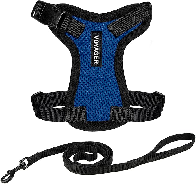 Voyager Step-in Lock Adjustable Cat Harness w. Cat Leash Combo Set with Neoprene Handle 5ft - Supports Small, Medium and Large Breed Cats by Best Pet Supplies - Royal Blue/Black Trim, XXXS