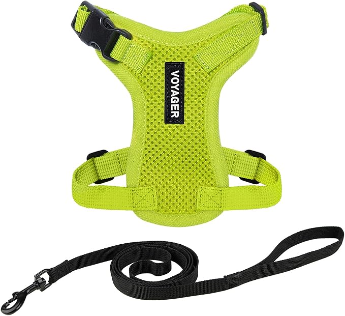 Voyager Step-in Lock Adjustable Cat Harness w. Cat Leash Combo Set with Neoprene Handle 5ft - Supports Small, Medium and Large Breed Cats by Best Pet Supplies - Lime Green, XS