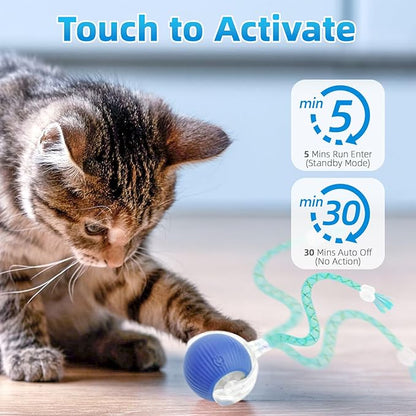 Interactive Cat Toys for Indoor Cats, Automatic Kitten Toys for Bored Indoor Adult Cats, Smart Kitten Rolling Ball Moving Balls Toy, Rechargeable Dog Cat Ball for Enrichment Exercise (Green+Blue)