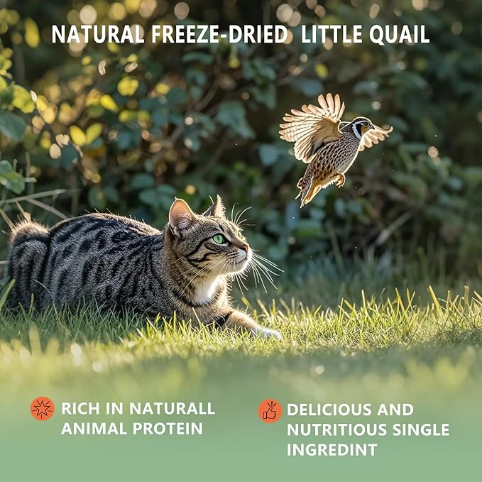 Freeze Dried Little Quail, 4.5 Oz Quail Dogs Cat Treats, Single Ingredient Freeze Dried Cat and Dog Treats Delicious Training Snacks, Natural Food Healthy Animal Protein Pet Food