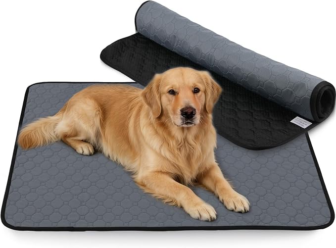 Washable & Reusable Pee Pads for Dogs, 2 Pack, 28 x 40 Inch | Super Absorbent, Waterproof TPU, Machine Washable & Reusable, Non-Slip Bottom, Floor Protection