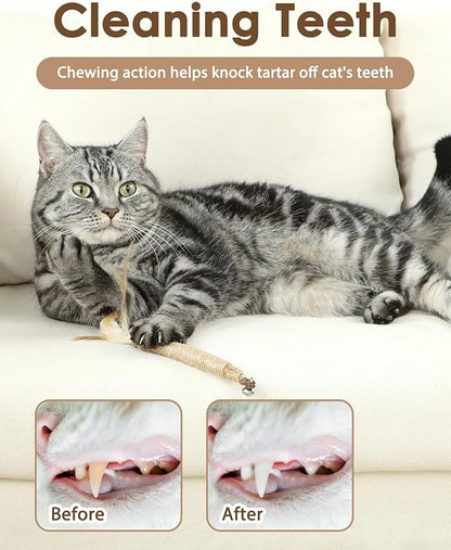 Tocirelo Kitten Chew Toys Teething - 6Pack Natural Silvervine Sticks for Cats, Matatabi Cat Feather Toy Chew Sticks, Cat Teeth Cleaning Treats for Indoor Bored Kitten