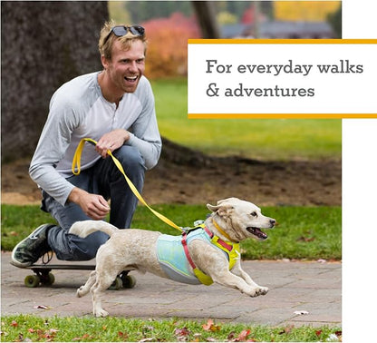 Ruffwear, Hi & Light, Everyday Lightweight Dog Harness, Trail Running, Walking, Hiking, All-Day Wear, Basalt Gray, XXX-Small