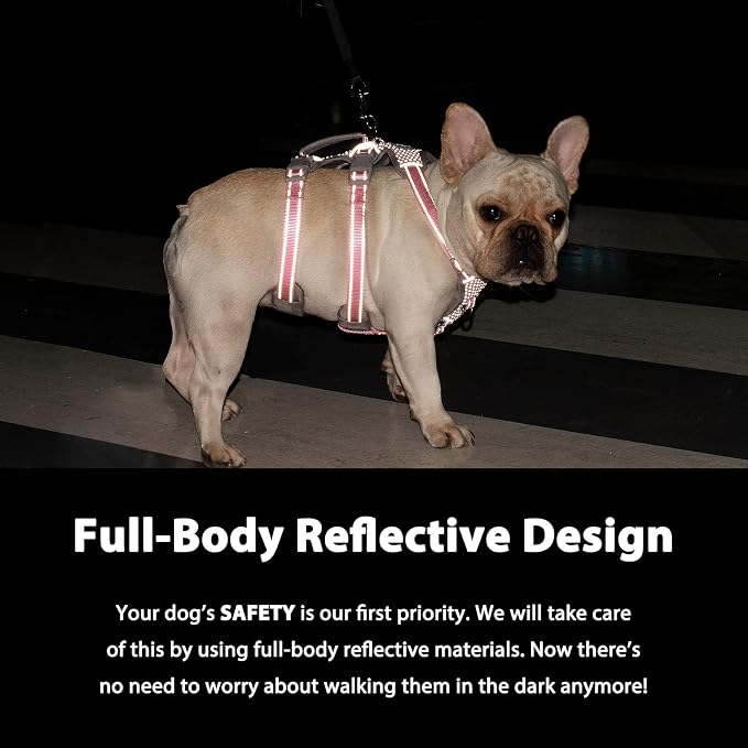 Escape Proof Dog Harness, Escape Artist Harness, Fully Reflective Harness with Padded Handle, Breathable,Durable, Adjustable Vest for Medium Dogs Walking, Training, and Running Gear (Teal,XS)