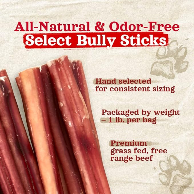 Natural Farm Odor-Free Select Bully Sticks, (12-Inch, 1-Pound), Hand Selected for Consistent Thickness, 100% Beef Pizzle Dog Chews, Fully Digestible, High Protein, Best Dental Treats