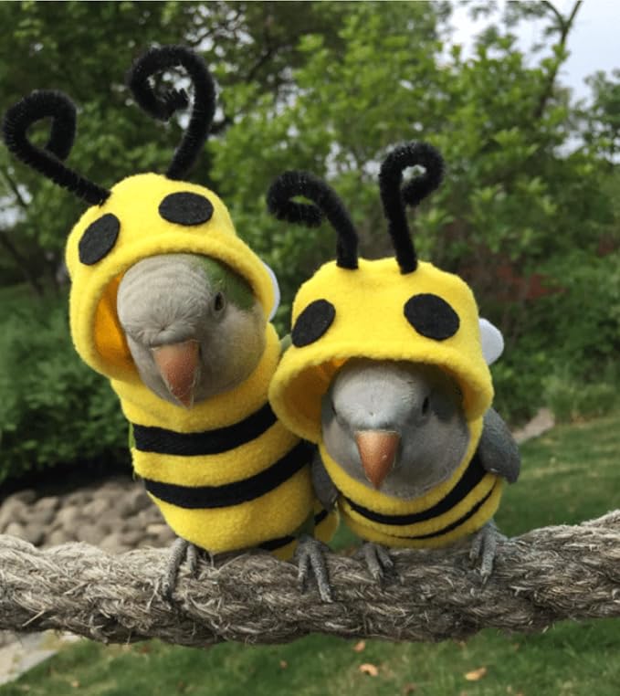 Bird Bee Shape Cosplay Photo Prop for Parrots Lovebird Budgie Parakeet Cockatiel Sun Conure, Small Animals Apparel (X-Large)