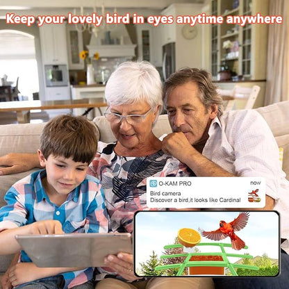 2.5K Smart Bird Feeder with Camera, 2.5L Birds Watching Camera with AI Identify Bird Species, Outdoor Birds Feeder House with Solar Panel for BirdLovers (Cyan)