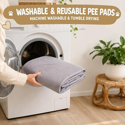 CoolShields Washable Pee Pads for Dogs, 34'' x 52'', Grey, 1 Pack | Ultra-Absorbent Reusable Waterproof Puppy Pad for Crates, Playpens, Carpets, and Floors—Ideal for Dogs, Cats, and Small Pets