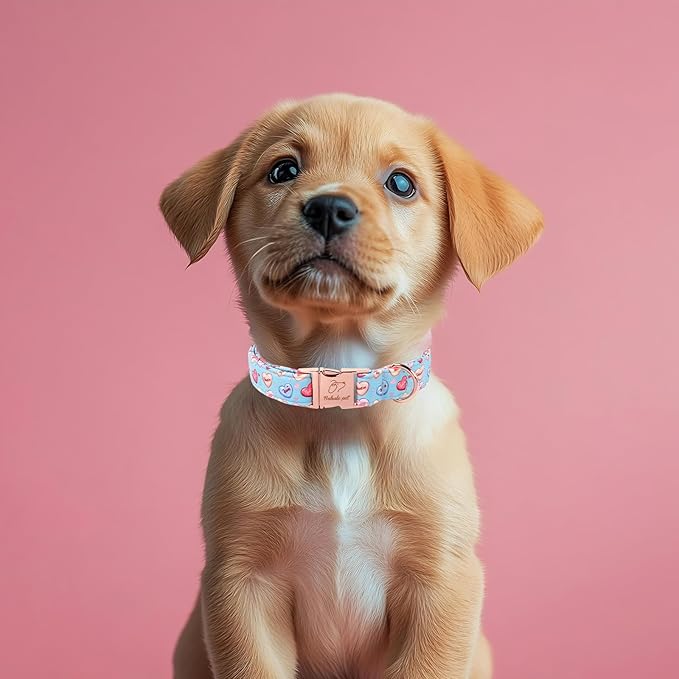 Valentines Dog Collar for Puppy Small Dogs - Cute Blue Heart Pattern Puppy Collar Sweet Valentine Adjustable Heavy Duty Pet Collar with Metal Buckle XS