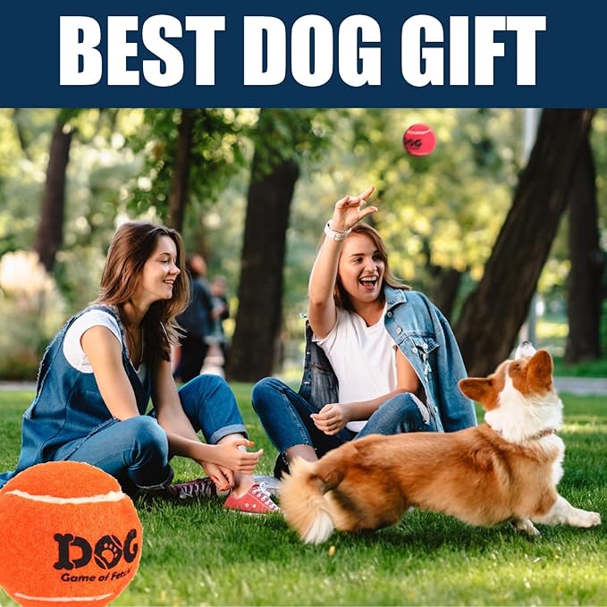 AMA SPORT Tennis Balls for Dogs 12 Pack 2.5" Red Dog Tennis Balls for Puppy Small Medium Dog Toys, Designed for Dogs Floating, Water-Hunting, Fetch, Fun Playing, Daily Exercise, Mid-air Catching